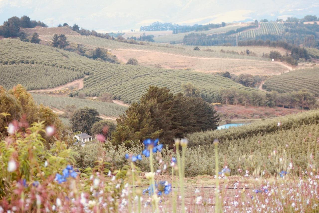 Cheverells Farm Grabouw Exterior foto